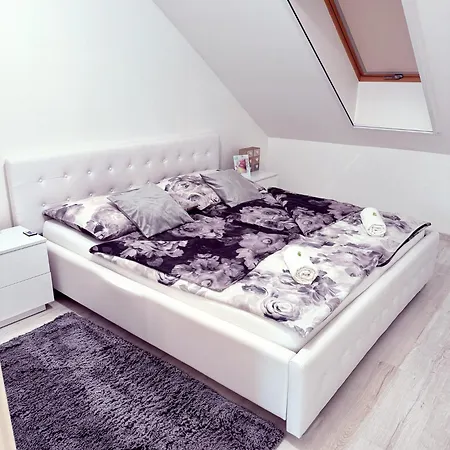 Exclusive Family Apartman Apartment